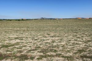 카메피트가 우세한 회색 사구. 배경에는 상 펠릭스 언덕이 있다.