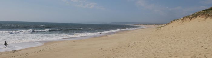 포보아드바르징은 다양한 고품질 서핑 장소를 보유하고 있다. 북서부 해안의 모래 언덕(사진), 시골, 도심의 남서부 해변을 따라 있다.