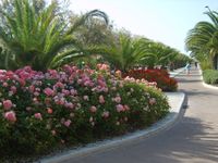 자전거 도로 구간(남쪽 산책로).