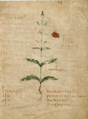 4세기 본초학에 수록된 가짜 아풀레이우스