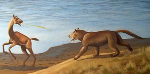 암피키온이 Miolabis를 공격하는 모습