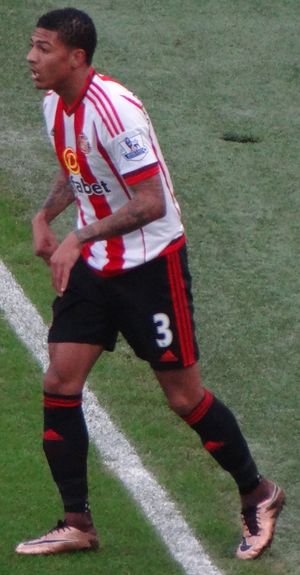 2015년 선덜랜드에서 뛰고 있는 판 안홀트