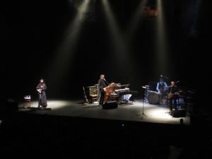 2011년 10월 31일 런던 로열 앨버트 홀에서 공연하는 PJ 하비와 그녀의 밴드