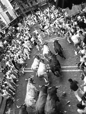 시청 광장을 통과하는 모습