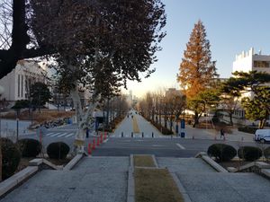 백양로 재창조 프로젝트 이후의 백양로