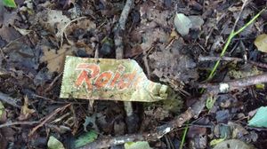 1989년의 레이더 포장지, 쓰레기로 발견됨