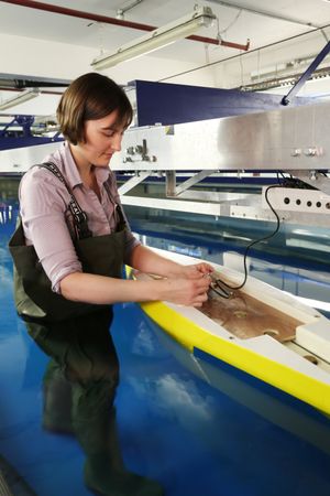 해양 건축가가 작업 중