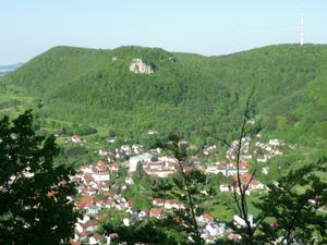 로젠슈타인과 호이바흐