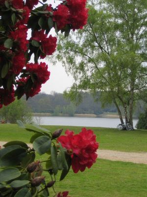 버지니아 워터 호수를 내려다보는 밸리 가든