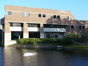 코긴 경영대학(Coggin College of Business)