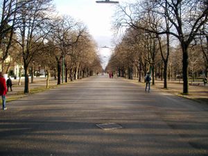 프라터의 하우프트알레