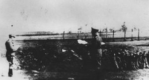 1943년 라돔스코에서 폴란드인 처형하는 독일군