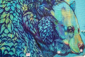 캠루프스 시내의 골목길 예술