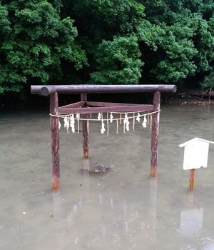 연못 속의 산주토리이(三柱鳥居)