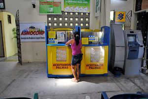 브라질의 방코 팔마(Banco Palma)와 같이 많은 마이크로파이낸스 기관들이 저축 시설도 제공한다.