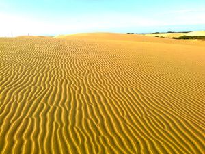 메다노스 데 코로 국립공원의 모래 언덕