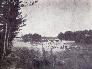 히라쓰카의 광대한 저택 다이가쿠로에 마련된 채소밭