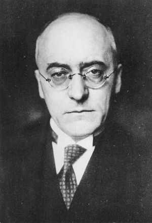 하인리히 브뤼닝, 헤르만 뮐러의 뒤를 이어 총리가 되었다.