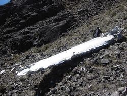 윌헬름 산에 추락한 미 공군기의 잔해에서 나온 날개