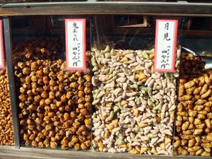 다양한 종류의 아라레