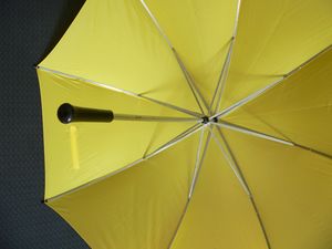 우산 안쪽 구조. 살(리브)과 받침대(스트레처)가 보인다.