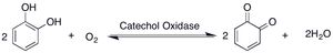 카테콜 산화효소에 의해 촉매되는 전체 반응: 두 분자의 카테콜과 한 분자의 이산소로부터 두 분자의 o-퀴논과 2분자의 물 생성