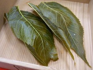 벚꽃 잎을 사용한 벚꽃떡