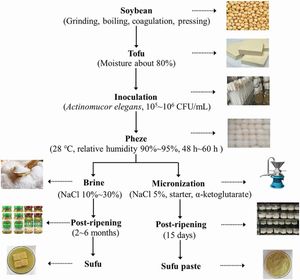 저염 수푸 페이스트(새로운 수푸 제품)와 수푸(일반적인 제조 방법으로 생산)의 제조 과정의 차이점과 유사점
