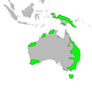 쿠올 6종의 서식지 분포