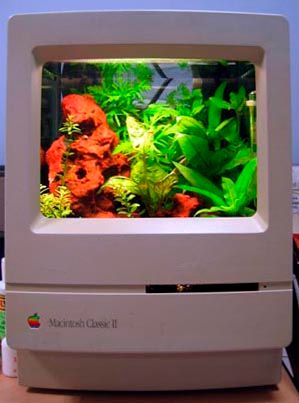 매킨토시 컴퓨터 껍데기로 만든 매쿼리엄(MacQuarium)