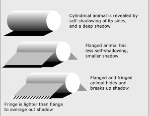 위장된 동물과 차량은 형태와 그림자로 인해 쉽게 눈에 띈다. 플랜지(flange)는 그림자를 숨기는 데 도움이 되며, 옅은 프린지는 남아있는 그림자를 분산시키고 평균화한다.
