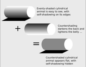 역대비는 신체의 그림자를 '지워' 위장 효과를 낸다. 그 결과 역대비 전의 신체가 '입체적인' 모습이 아닌, '평평한' 모습으로 보이게 된다.