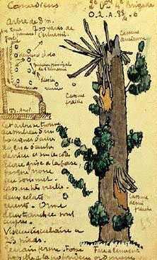 입체주의 화가 앙드레 마르가 1916년에 제작한 나무 위장 철제 관측소