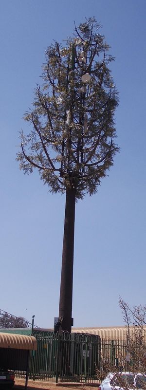 나무로 위장한 휴대폰 기지국