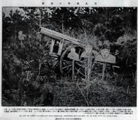 칭다오 전투에서 독일군이 일본군을 상대로 설치한 가짜 포와 병사 (1914년)