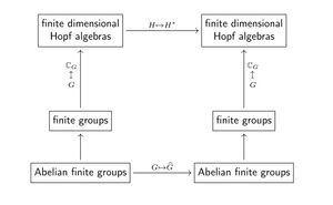 유한 군의 쌍대성.