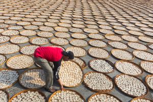 인드라유 서 자바에서 크루푹을 햇볕에 말리는 모습