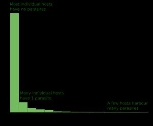 기생충은 숙주 사이에서 집중 분포하며, 대부분의 숙주는 기생충이 없고, 소수의 숙주가 대부분의 기생충 개체군을 보유한다.
