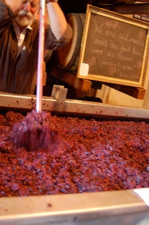 적포도를 탱크에 넣는 과정