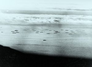 호송선 PQ-17, 작전 뢰셀스프룽의 목표