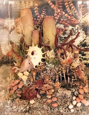 캡틴 리프의 생명체 디오라마