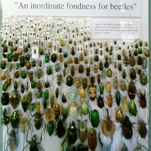 옥스퍼드 대학교 자연사 박물관에 전시된 홀데인과 창조주에 대한 질문에 대한 그의 답변