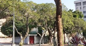 총통부 비서장 관저