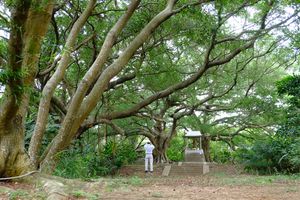 구 치딩 신사 유적