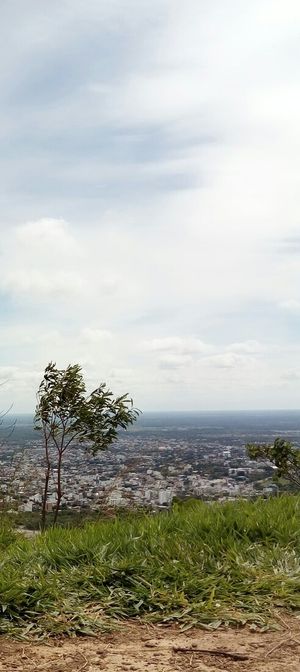 세로 부에나 비스타에서 바라본 요팔의 스카이라인