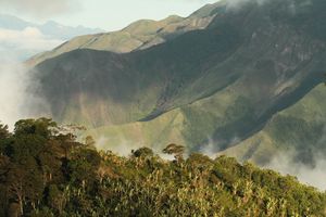 세로 페루, 카리페 자치구