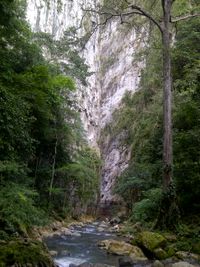 미라플로레스의 문