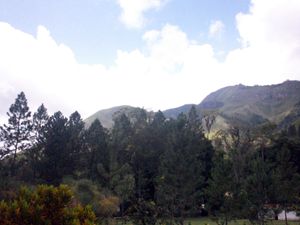 모나가스 주는 많은 녹지 공간과 공원을 보유하고 있다.