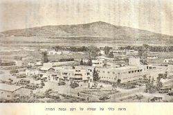 1950년경의 아풀라