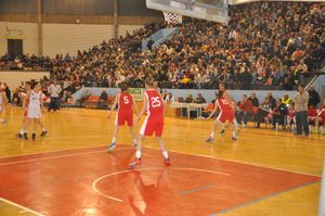 보르 스포츠 센터, 2016년 보르-레드 스타 베오그라드 여자 농구 경기